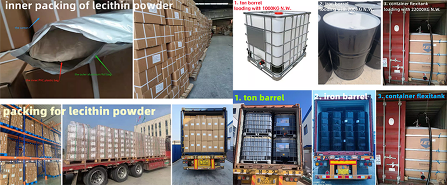 Probiotic powder bulk Probiotic powder bulk