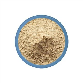 Bacillus subtilisプロバイオティクス粉末