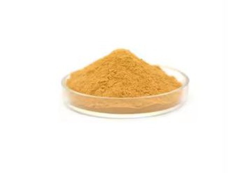 White tea extract powder supplier White tea extract powder supplier