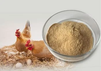 Allicin powder manufacturer Allicin powder manufacturer